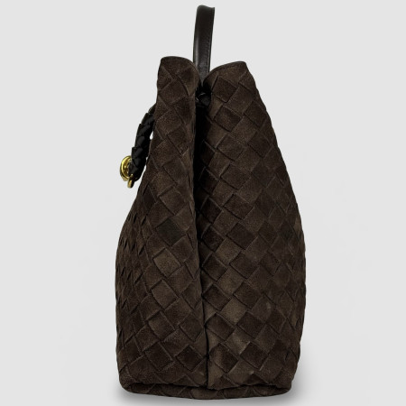 Bottega Veneta Andiamo Medium