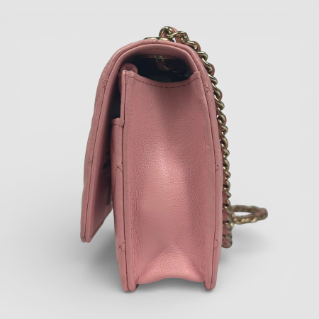 Chanel Wallet On Chain Trendy CC