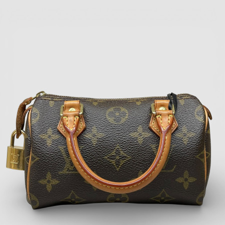 Louis Vuitton Nano Speedy