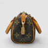 Louis Vuitton Nano Speedy