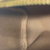 Louis Vuitton Nano Speedy