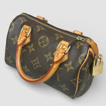 Louis Vuitton Nano Speedy
