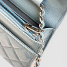 Chanel Wallet On Chain
