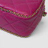 Chanel Camera Bag