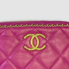 Chanel Camera Bag